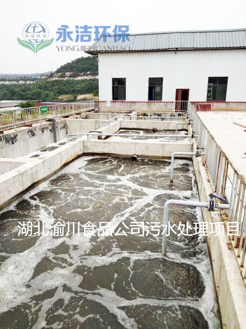 湖北渝川泡菜废水星空（中国）xingkong·官方网站,科技股份有限公司